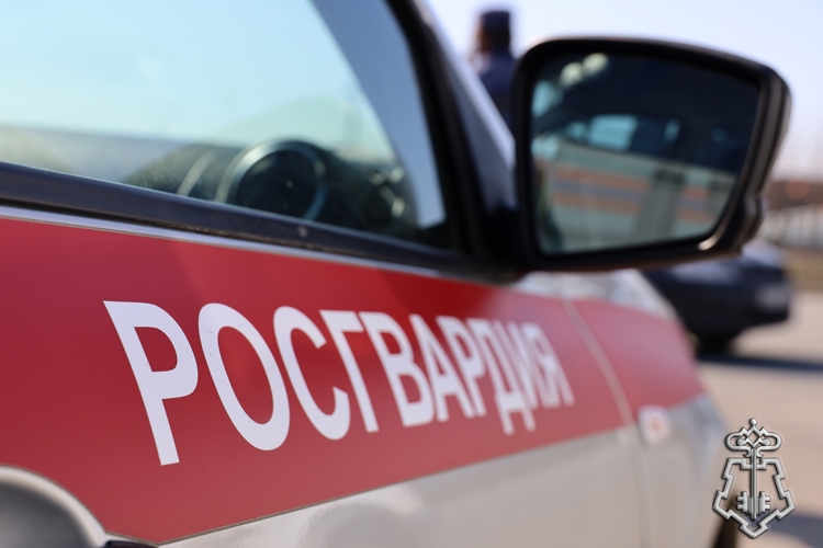 За минувшую неделю сотрудники вневедомственной охраны Чувашии более 160 раз выезжали по сигналу «Тревога»