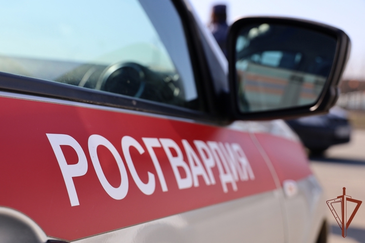 160 «тревожных» выездов совершили сотрудники вневедомственной охраны Росгвардии за минувшую неделю в Чувашии