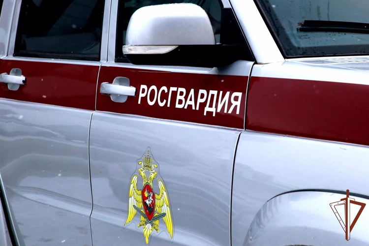 За минувшую неделю сотрудники вневедомственной охраны более 200 раз выезжали по сигналу «Тревога»