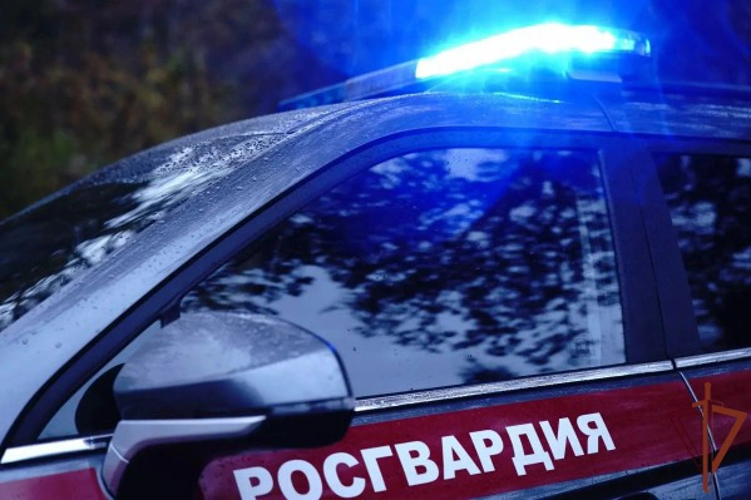 В Чувашии патрульные экипажи вневедомственной охраны Росгвардии более 190 раз выезжали по сигналу «Тревога» 